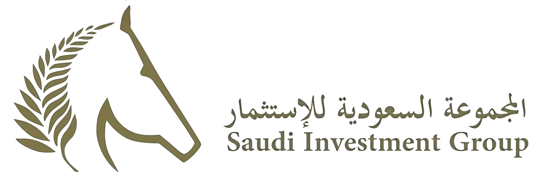 Saudi Investment Group