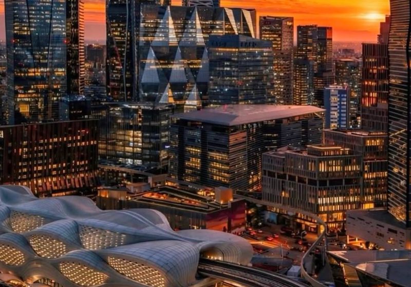 Sovereign Partnerships and Co-Investment Models